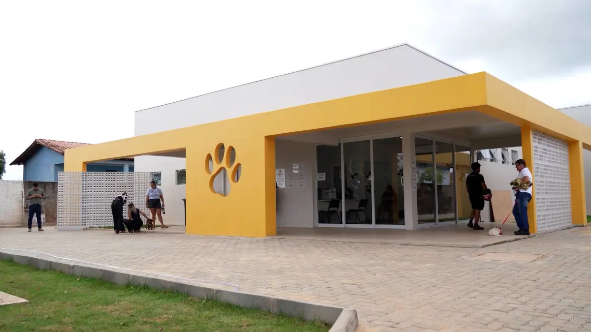 Clínica do Bem-Estar Animal fecha primeiro semestre com mais de 250 adoções e 6,6 mil atendimentos