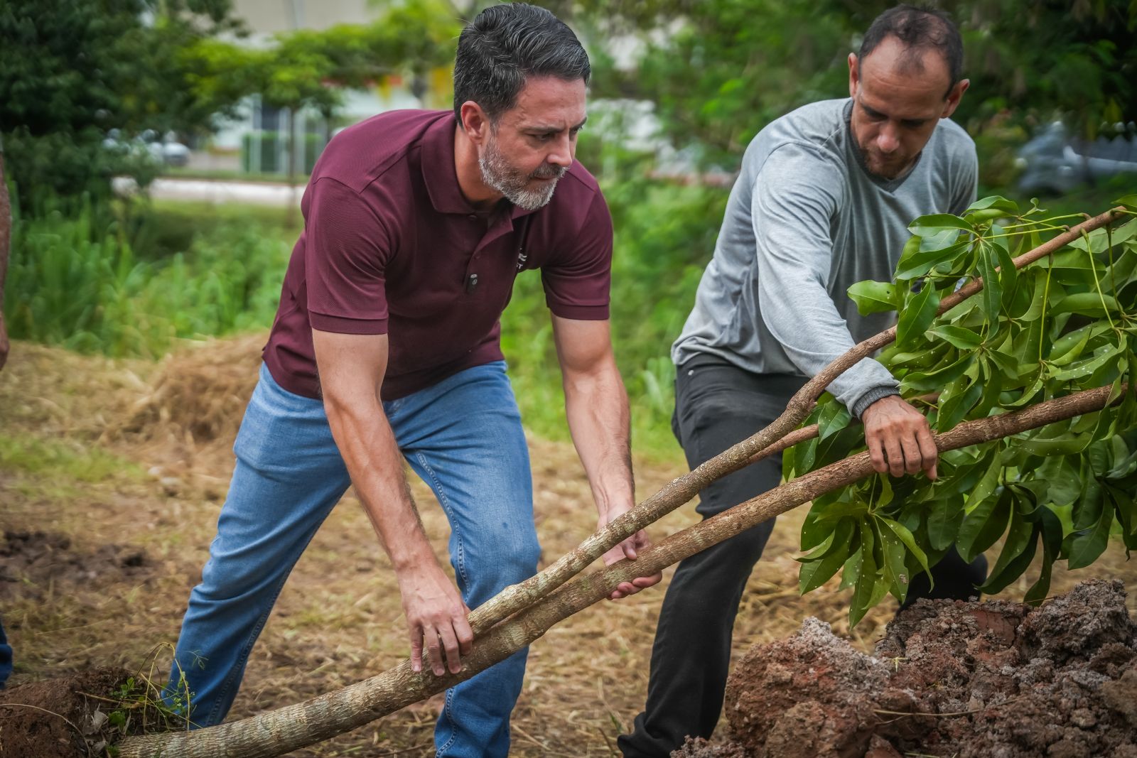 Para o prefeito Léo Moraes, a proposta é dar função social ao paisagismo urbano