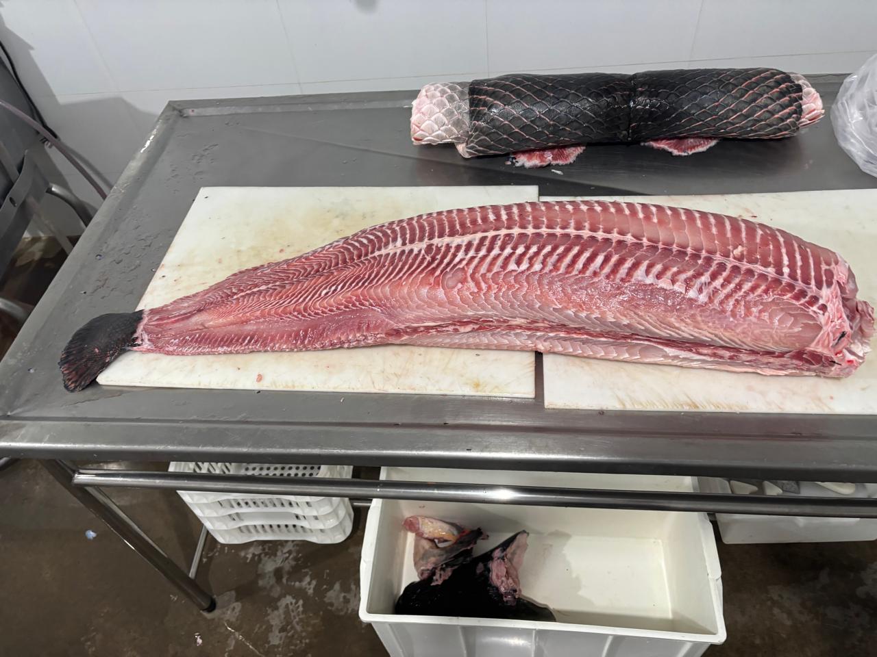 Regularização impulsiona negócios e amplia mercados para produtores locais em Porto Velho