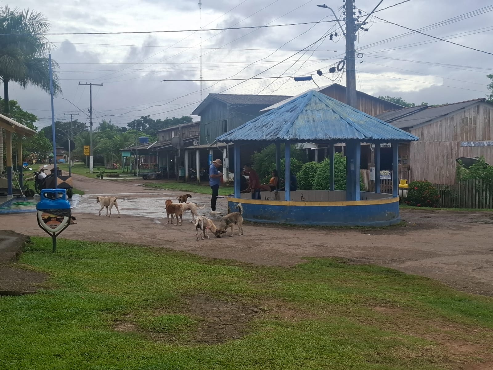Castração de pets chega a São Carlos, no Baixo Madeira